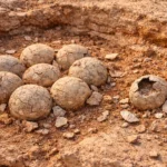 Des œufs de dinosaures fossilisés émergent d’un sédiment rougeâtre, partiellement excavés sur un ancien site de nidification dans le sud de la France.