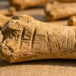 Gros plan extrême sur un fragment d'os fossilisé beige, montrant des marques de découpe profondes et des stries d'outils parallèles sur sa surface texturée, posé sur une toile de lin.