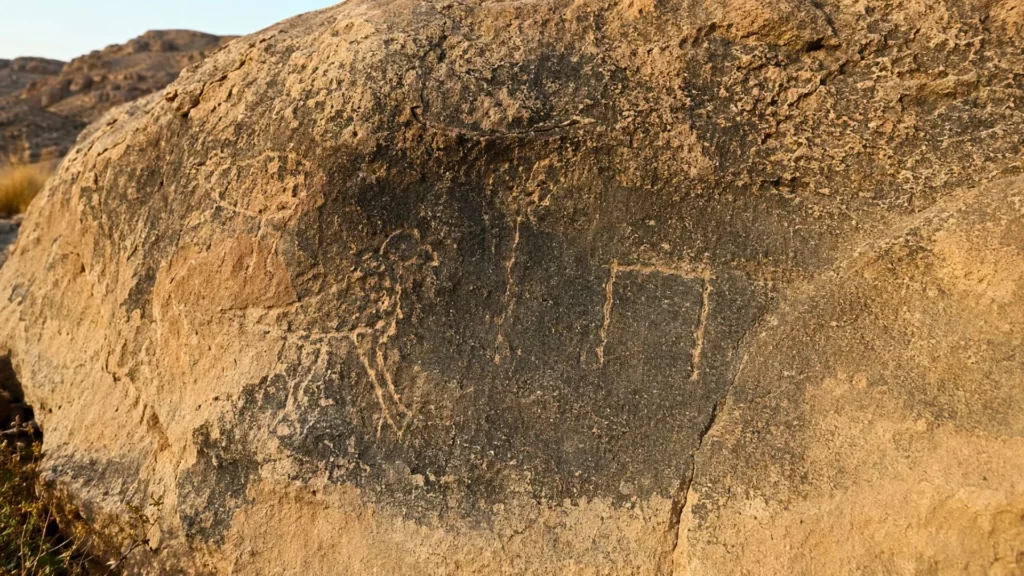 Inscriptions gravées sur une roche calcaire dans un wadi désertique d’Égypte ancienne, avec motifs d’oiseaux et symboles archaïques.