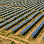 Champ de panneaux solaires installés dans un désert avec végétation sous les structures