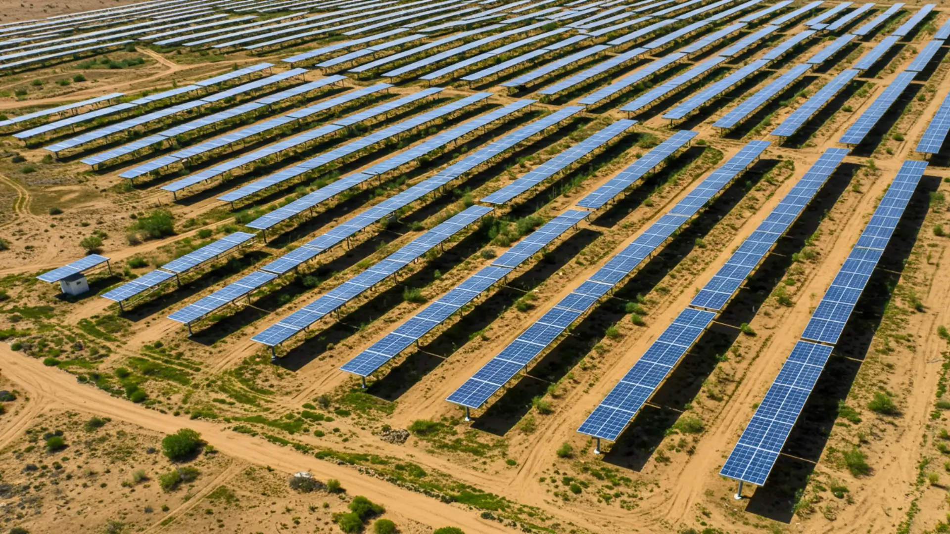 Champ de panneaux solaires installés dans un désert avec végétation sous les structures