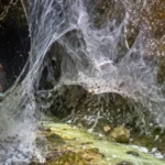Une immense toile d’araignées recouvre presque entièrement l’entrée d’un passage de grotte sombre, au-dessus d’un petit cours d’eau soufré.