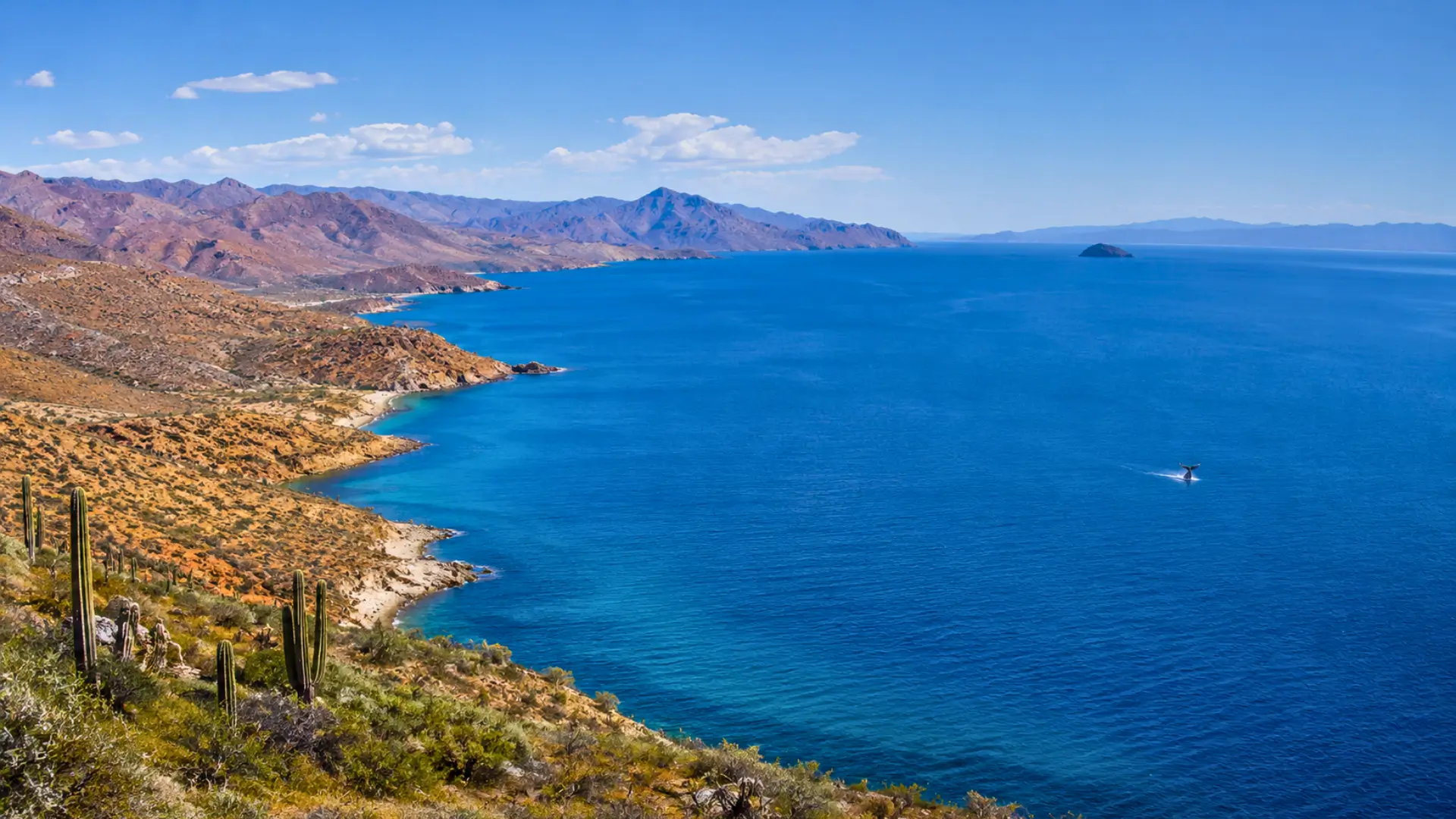 Vue panoramique de la mer de Cortés en Basse-Californie avec désert côtier, montagnes arides et baleine au large dans les eaux turquoise