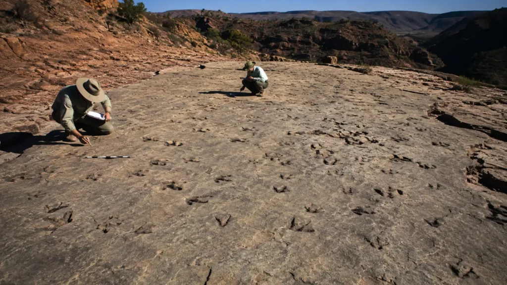 Paléontologues examinant une vaste dalle rocheuse couverte d’empreintes fossilisées de dinosaures dans le parc national de Torotoro, en Bolivie.