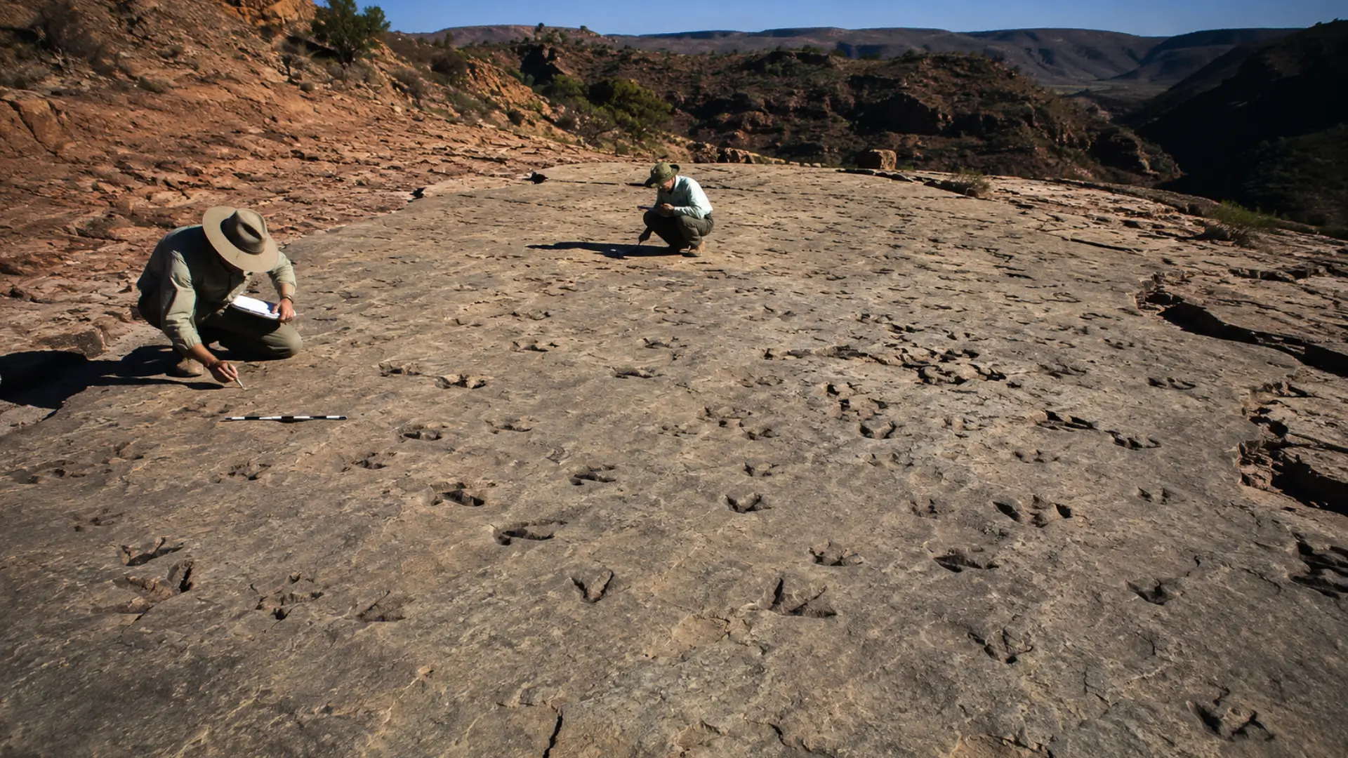 Paléontologues examinant une vaste dalle rocheuse couverte d’empreintes fossilisées de dinosaures dans le parc national de Torotoro, en Bolivie.
