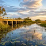 Marais des Everglades traversé par l’eau douce sous un pont discret