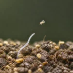 ver microscopique sautant depuis le sol pour attraper un petit insecte en vol macro réaliste