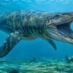 Reconstitution réaliste d’un Tylosaurus rex, mosasaure géant du Crétacé, nageant dans les anciennes mers du Texas avec ses mâchoires ouvertes.