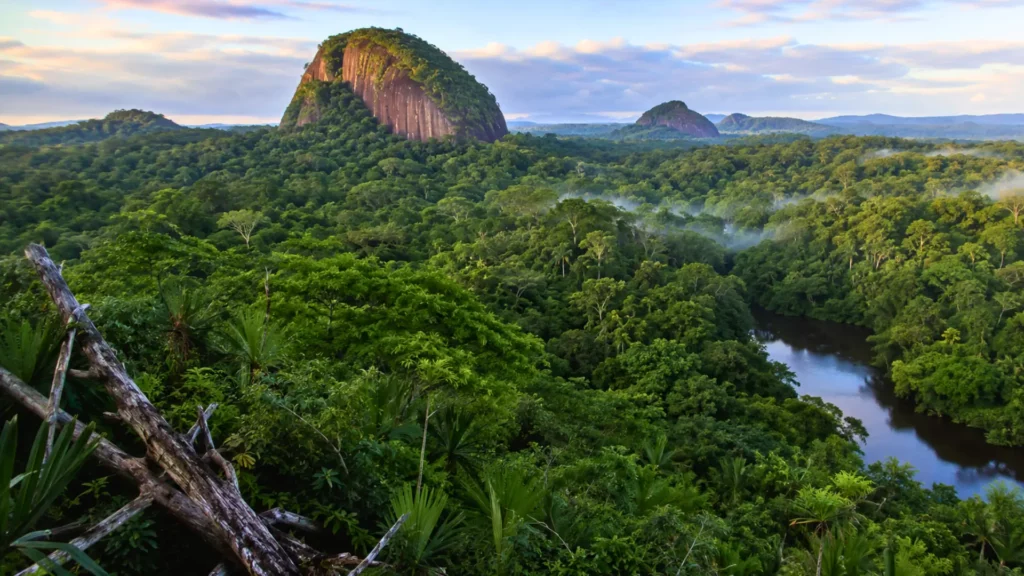Forêt tropicale dense de Guyane avec rivière sombre, brume légère et inselbergs rocheux au lever du jour.