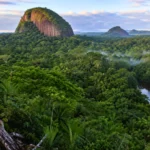 Forêt tropicale dense de Guyane avec rivière sombre, brume légère et inselbergs rocheux au lever du jour.