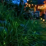 Vers luisants brillants dans les herbes hautes d’un jardin au crépuscule, près de lampes solaires et de guirlandes lumineuses.
