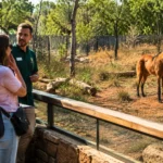 Un guide de zoo présente un loup à crinière à un groupe de visiteurs devant un enclos arboré et sécurisé.