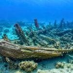 Épave ancienne en bois reposant sur le fond marin au large de l’Inde, partiellement recouverte par le sable et les coraux.