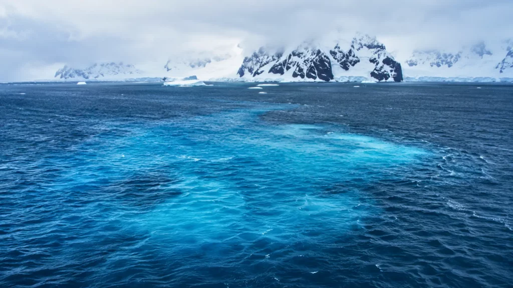 Vue réaliste de l’océan Atlantique Nord près du Groenland, avec une large zone d’eau froide bleutée entourée de vagues sombres et de montagnes glacées.