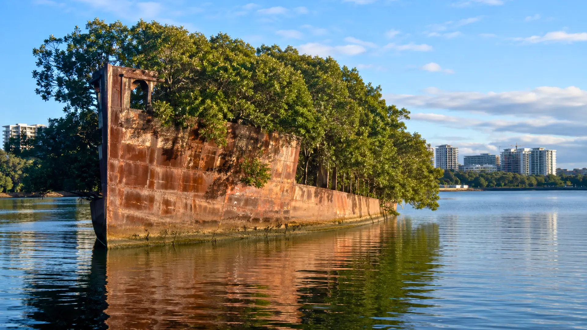 Épave rouillée du SS Ayrfield couverte de mangroves dans les eaux calmes de Homebush Bay à Sydney.