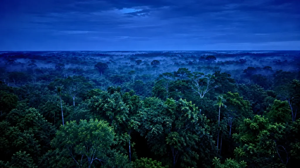 Vue nocturne de la forêt amazonienne enveloppée de brume sous un ciel bleu sombre