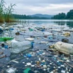Déchets plastiques flottant à la surface d’un point d’eau pollué, avec bouteilles et fragments visibles près de la berge.