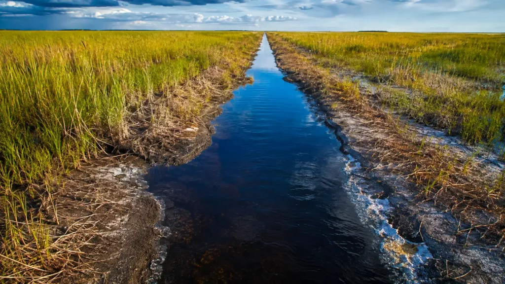 Un canal de drainage traverse les Everglades en Floride, bordé de végétation desséchée et de sols marqués par l’intrusion saline.