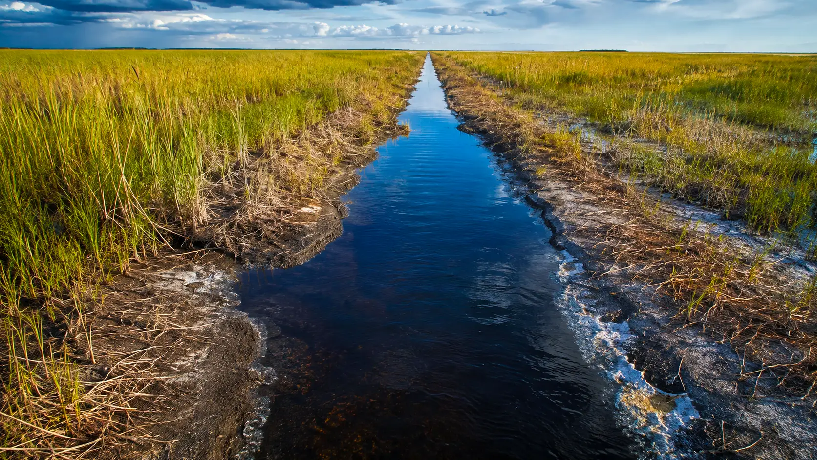 Un canal de drainage traverse les Everglades en Floride, bordé de végétation desséchée et de sols marqués par l’intrusion saline.