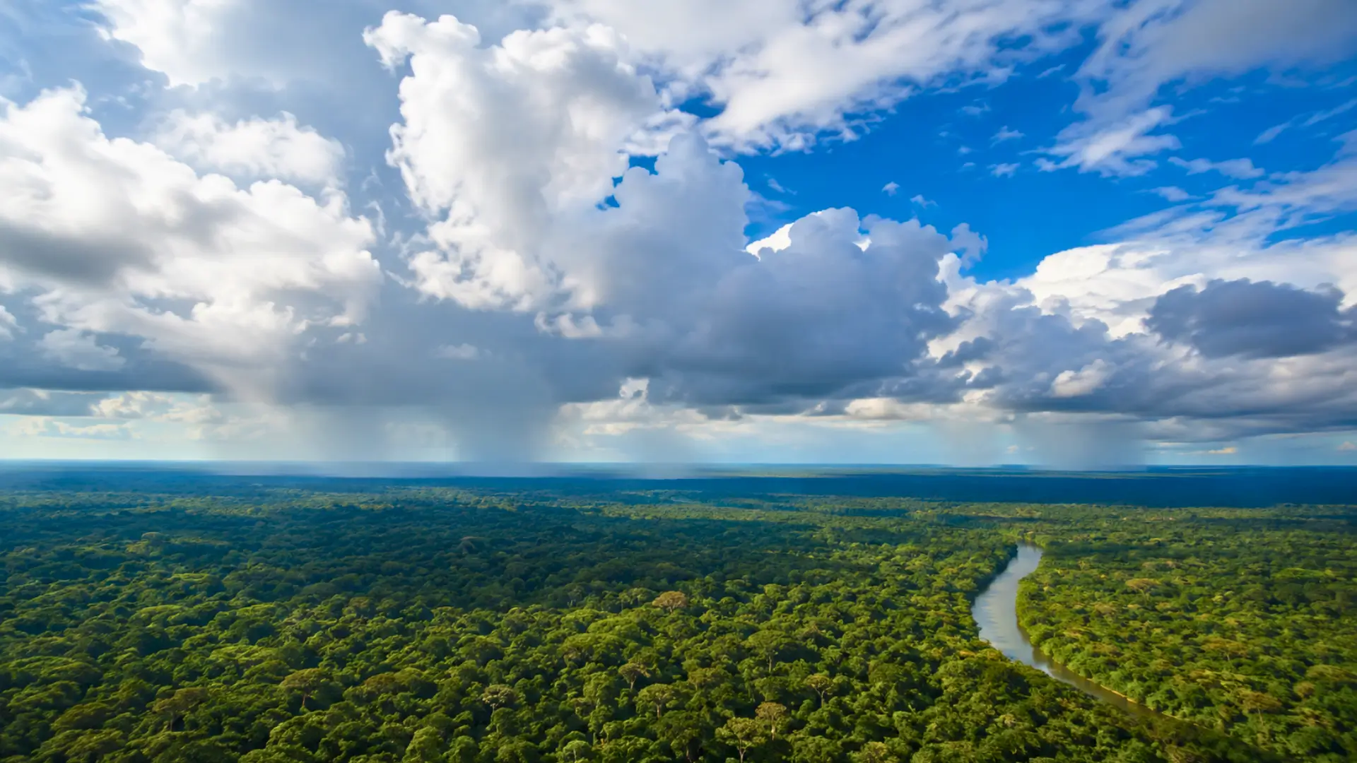 Vue aérienne réaliste de la forêt amazonienne avec un fleuve, de grands nuages orageux et des rideaux de pluie au loin en Amérique du Sud.