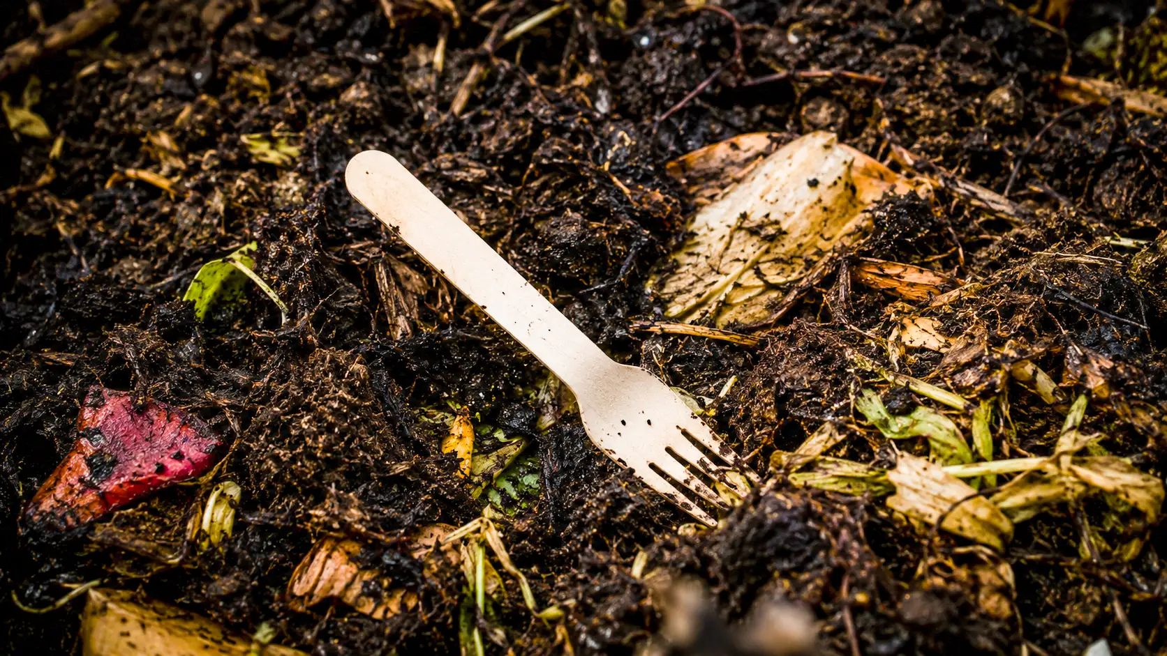 Une fourchette jetable dite compostable reste intacte au milieu de déchets organiques en décomposition dans un compost de jardin.