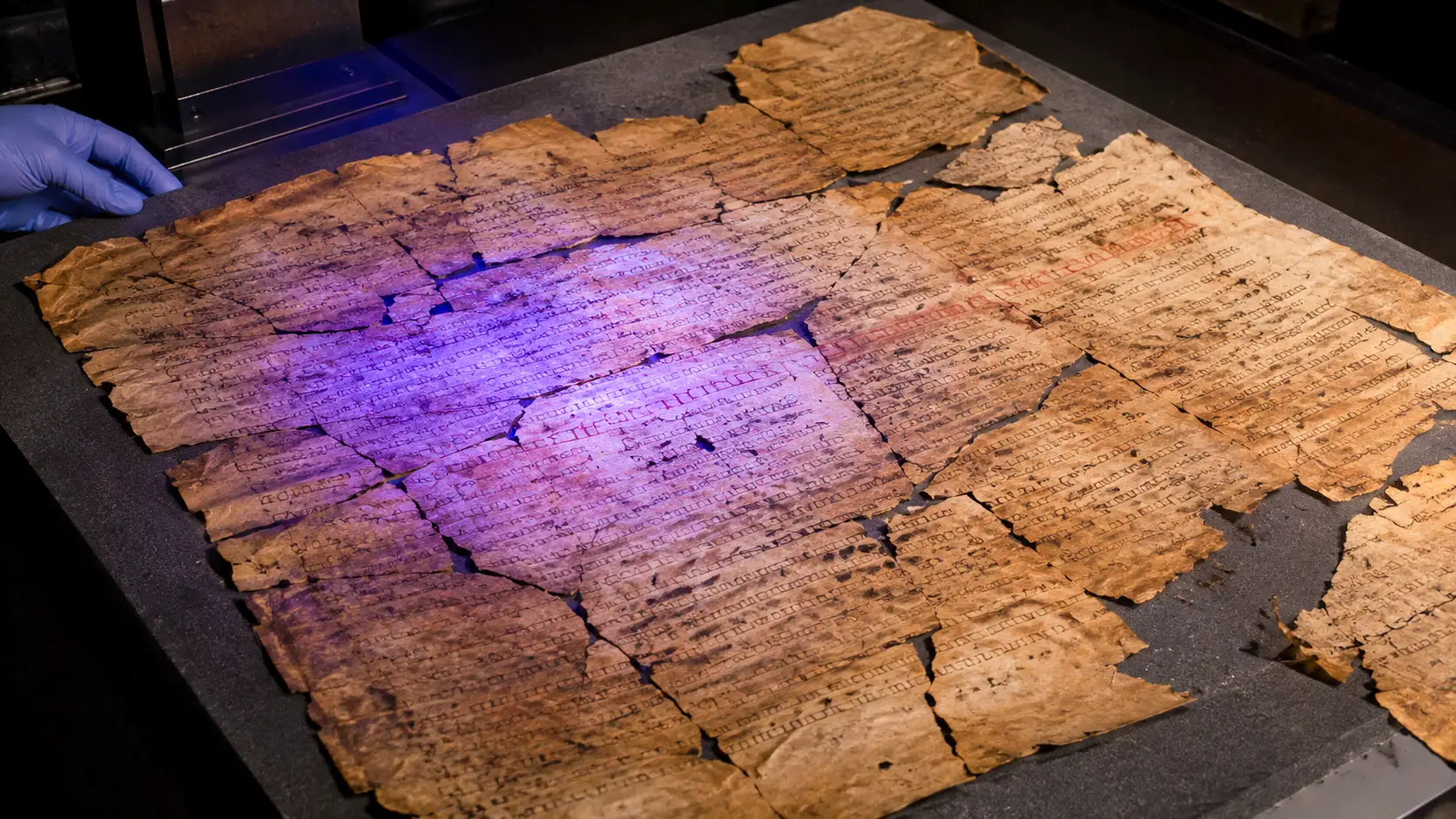 Un ancien parchemin juridique romain reconstitué à partir de nombreux fragments est examiné sous une lumière ultraviolette.