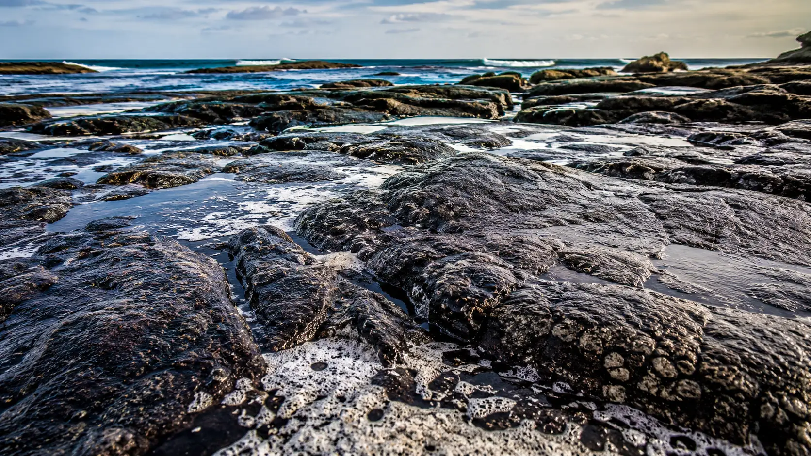 Un rivage rocheux de Cornouailles presque dépourvu de vie marine, marqué par des résidus mousseux après une pollution chimique.