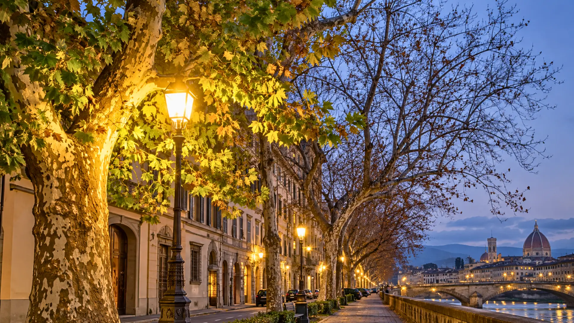 À Florence, un platane conserve ses feuilles vertes et jaunes sous un lampadaire allumé, tandis que les arbres voisins présentent des branches dénudées en hiver.