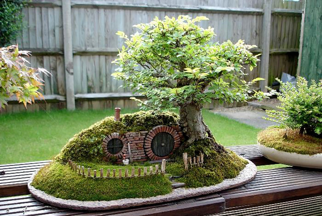 ls-bonsai-hobbit