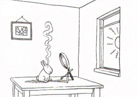 bunny-suicide